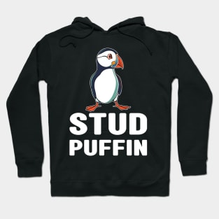 Stud Puffin Funny Seabird Iceland Puffin Bird Hoodie